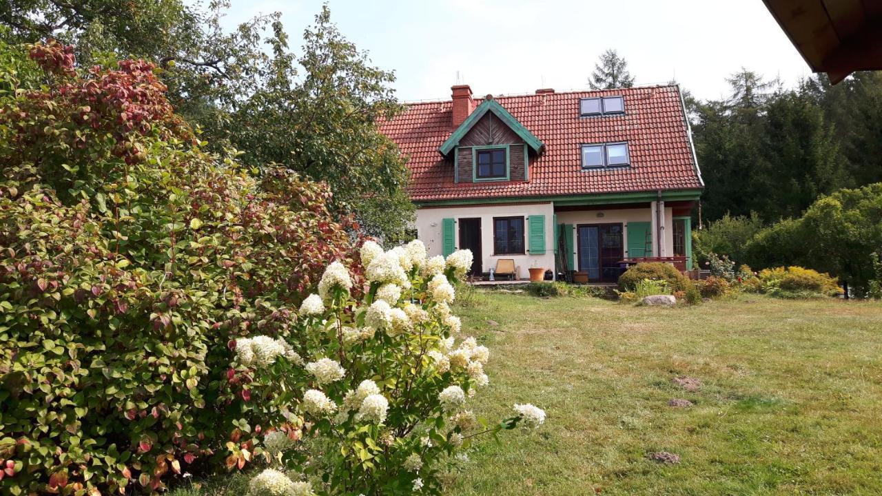 Apartament Bakusiowy Zakątek Lipowo Kurkowskie Zewnętrze zdjęcie
